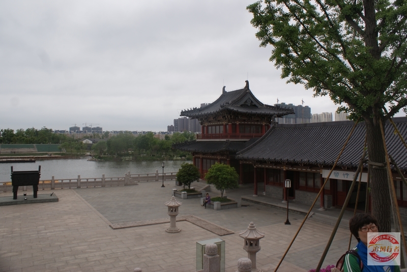 DSC01104.jpg
