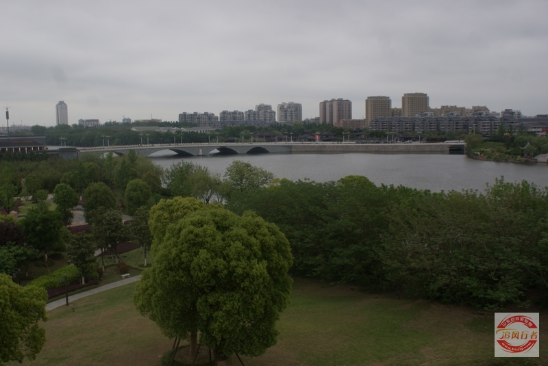 DSC01119.jpg