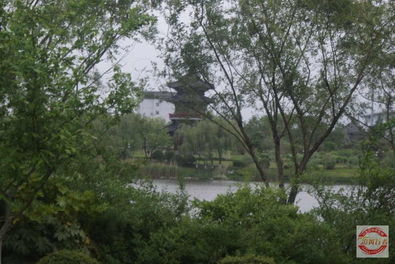 DSC01129.jpg