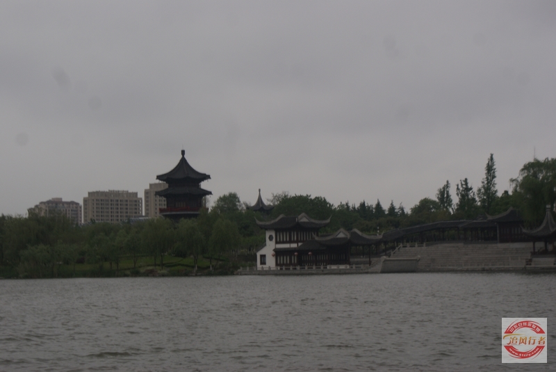DSC01165.jpg