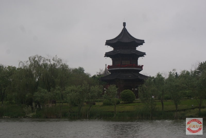 DSC01169.jpg