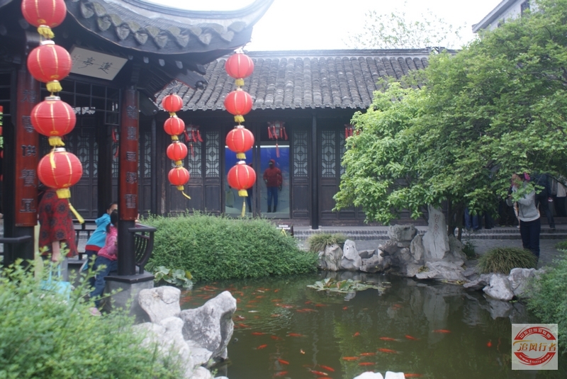 DSC01218.jpg