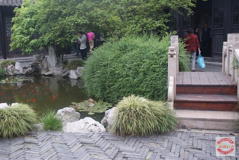 DSC01219.jpg