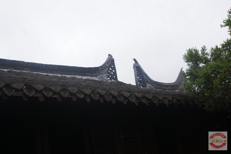 DSC01224.jpg