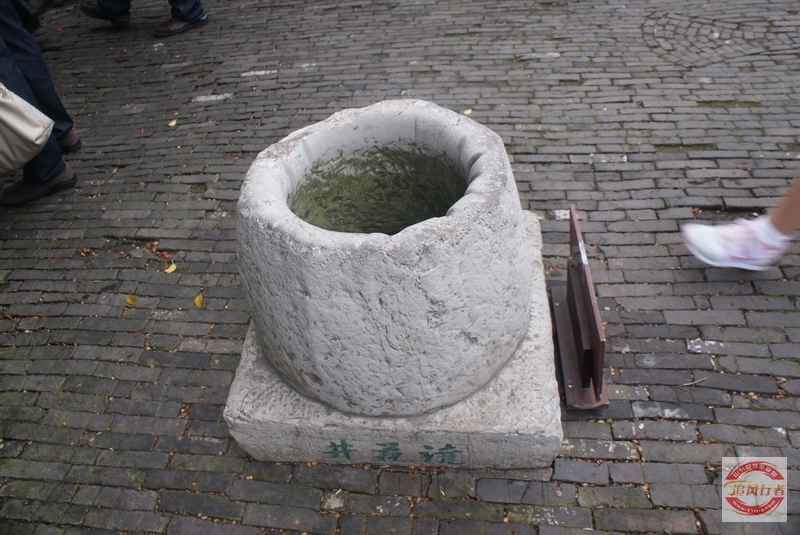 DSC01233.jpg