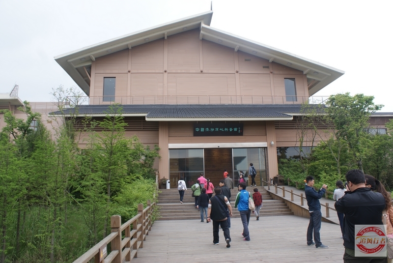DSC01376.jpg