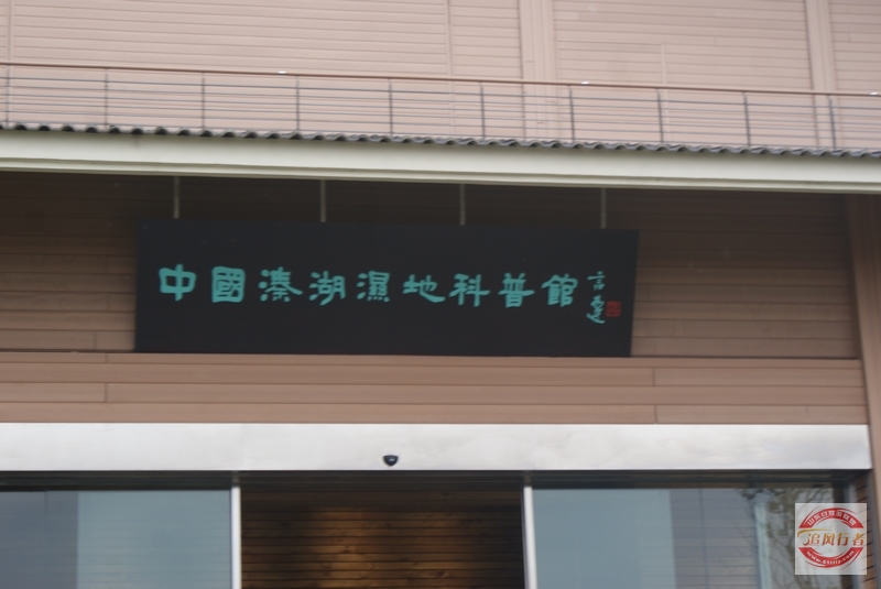 DSC01378.jpg
