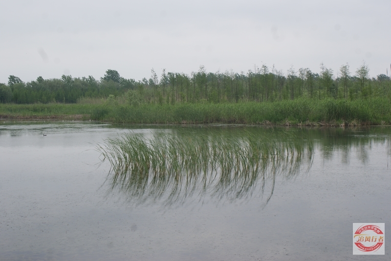 DSC01404.jpg