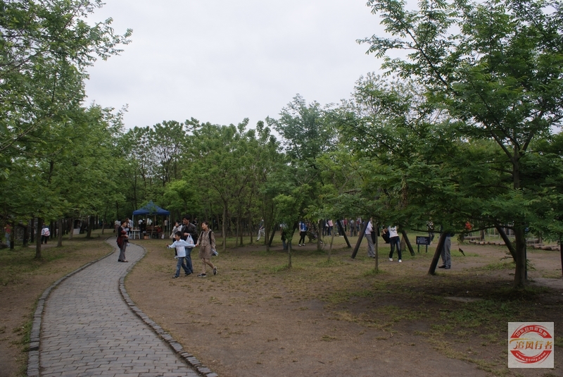 DSC01420.jpg