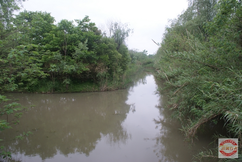 DSC01424.jpg