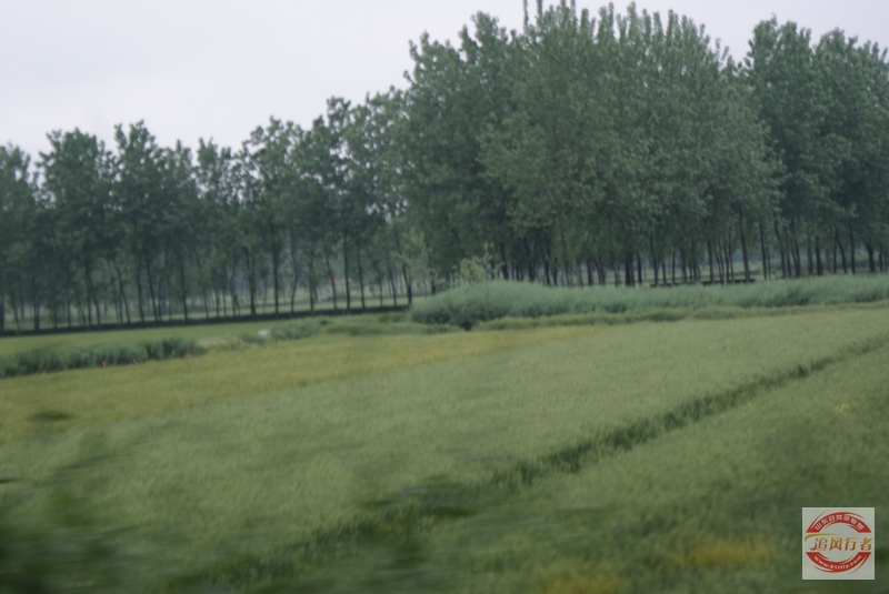 DSC01494.jpg