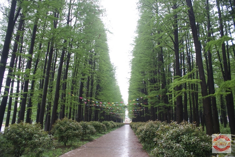DSC01504.jpg