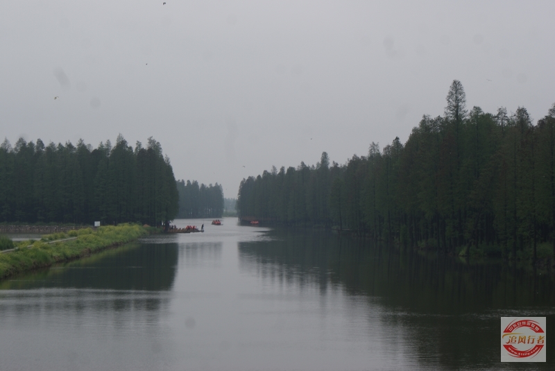 DSC01509.jpg