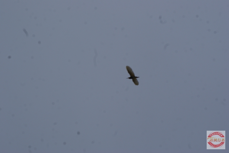 DSC01510.jpg