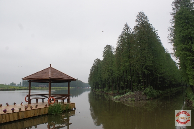 DSC01512.jpg