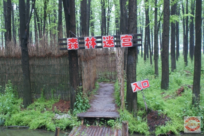 DSC01532.jpg