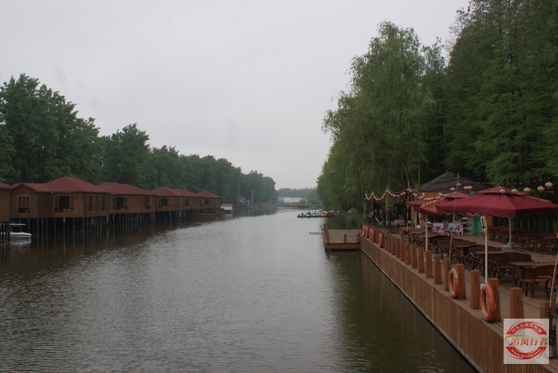 DSC01549.jpg