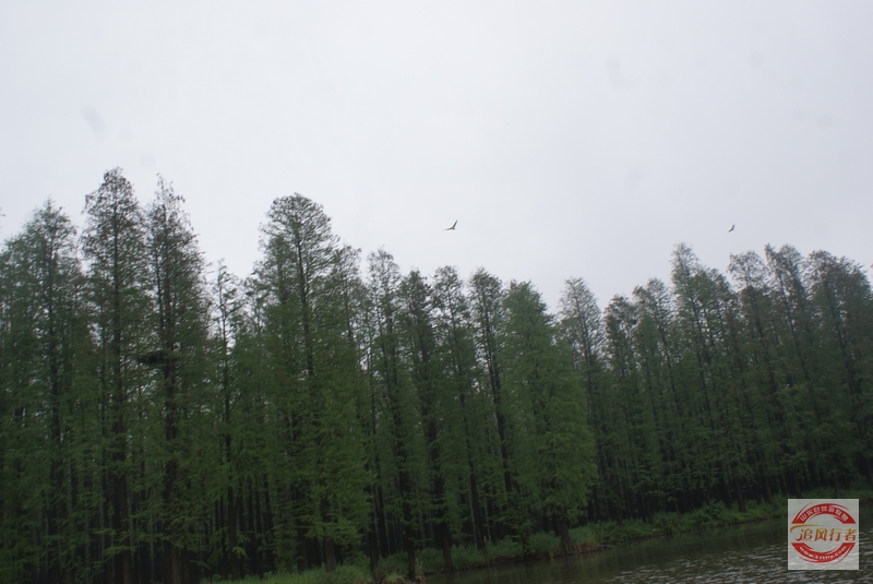 DSC01606.jpg