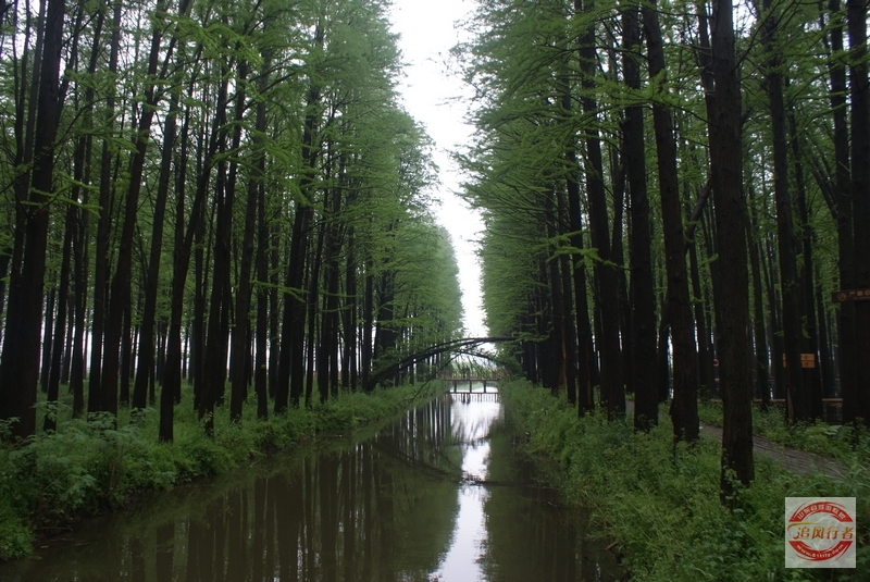DSC01627.jpg