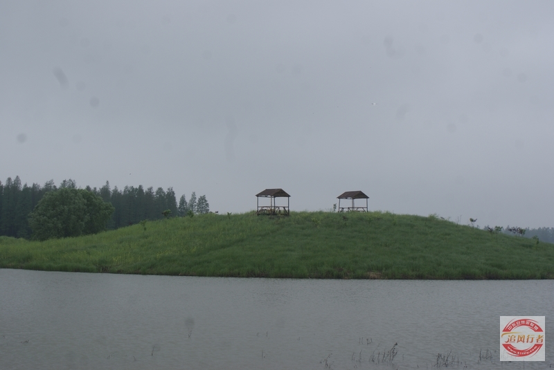 DSC01637.jpg