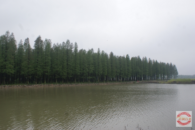 DSC01647.jpg