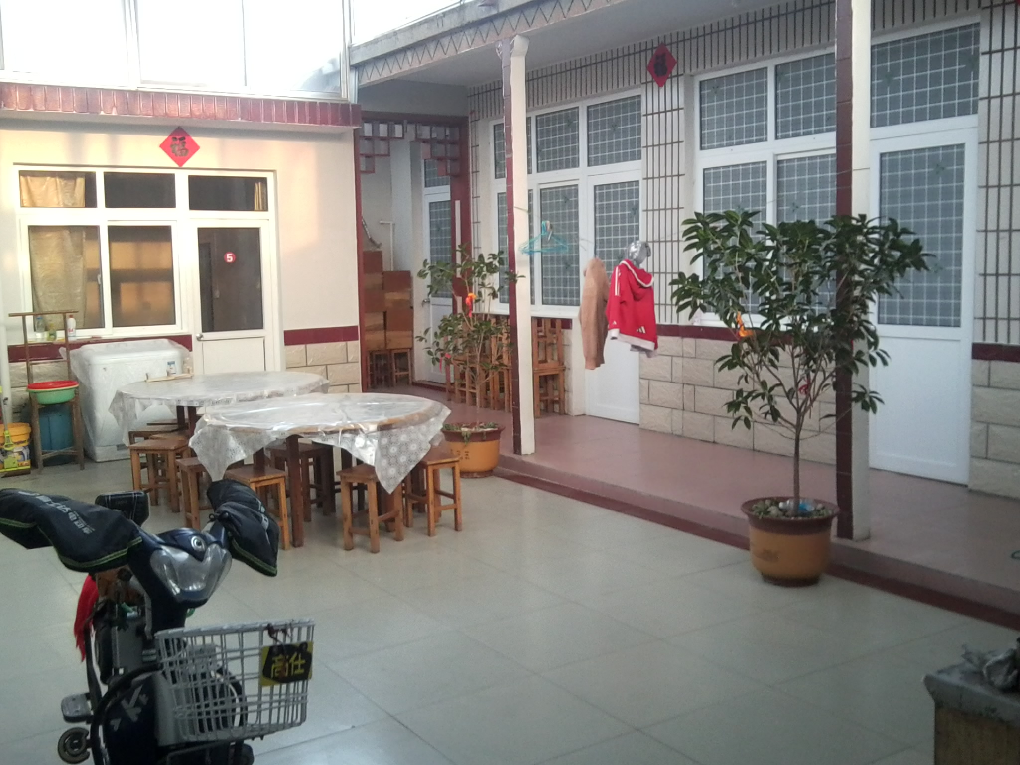 Ƭ0243.jpg