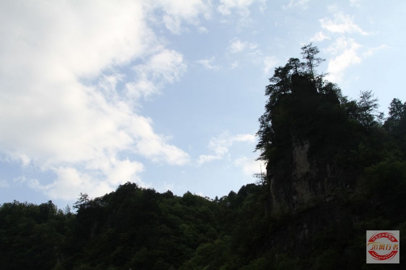 IMG_5428.jpg