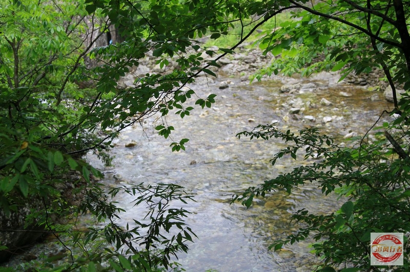 IMG_5655.jpg