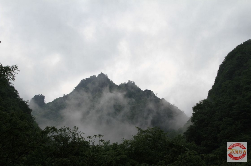 IMG_5659.jpg