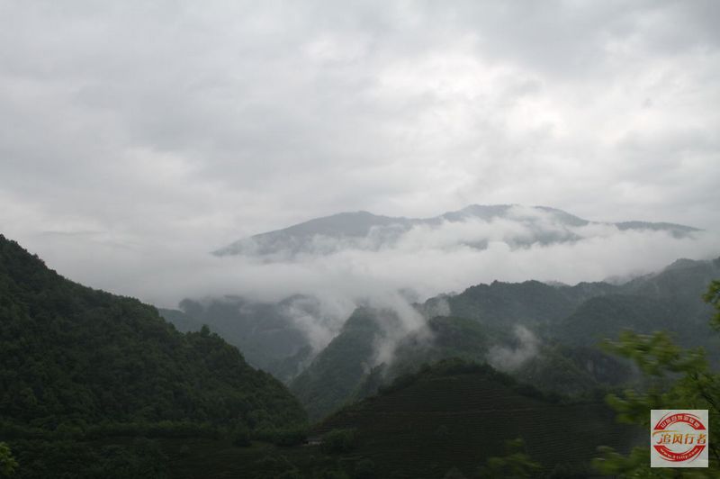 IMG_5771.jpg