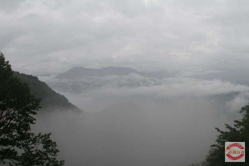 IMG_5803.jpg