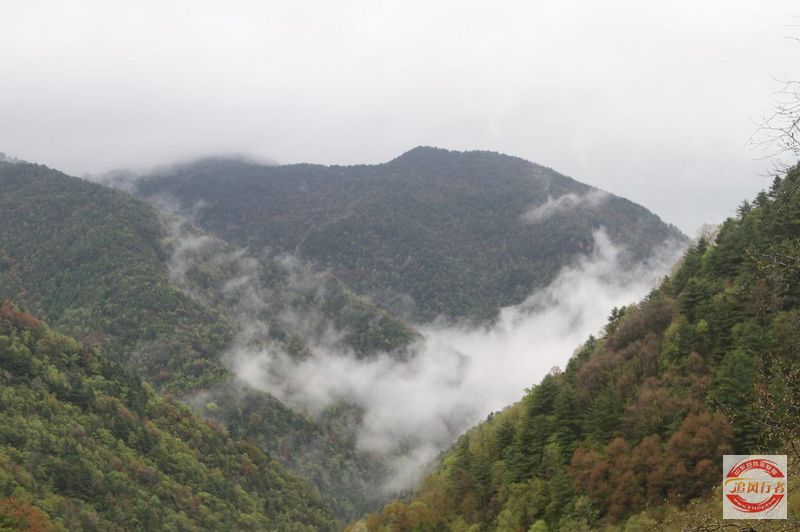 IMG_5896.jpg