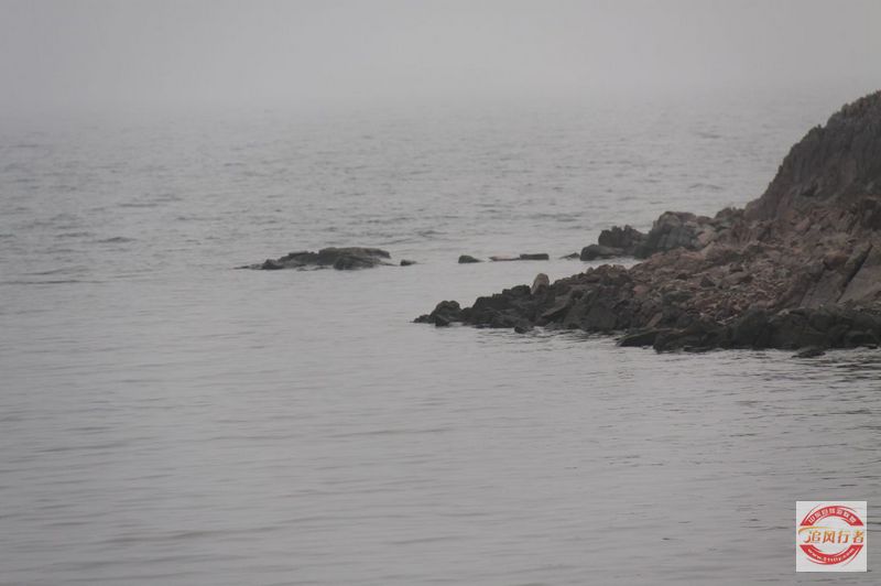 IMG_9903.jpg