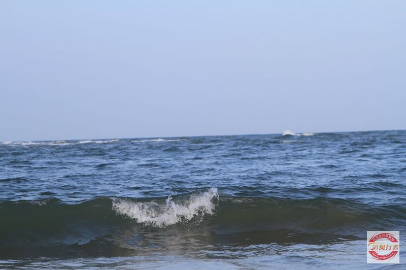IMG_1817.jpg