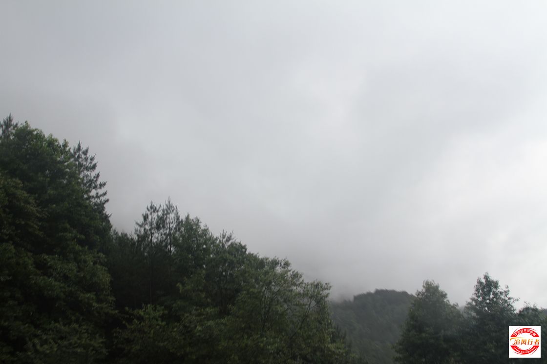 IMG_5827.jpg