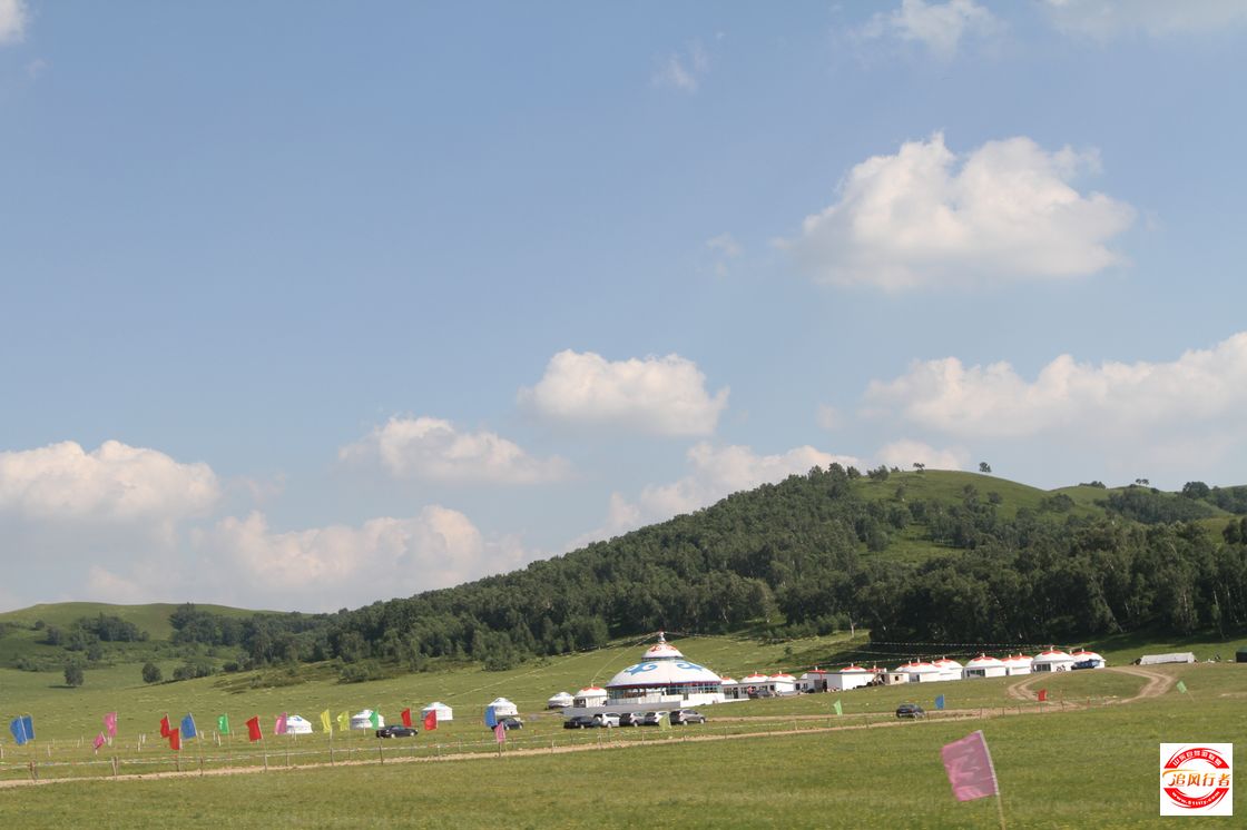 IMG_8012.jpg