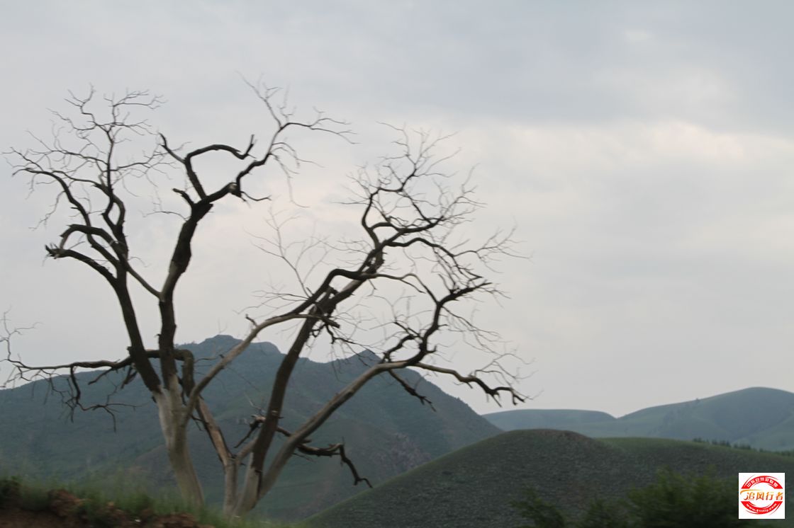 IMG_8495.jpg