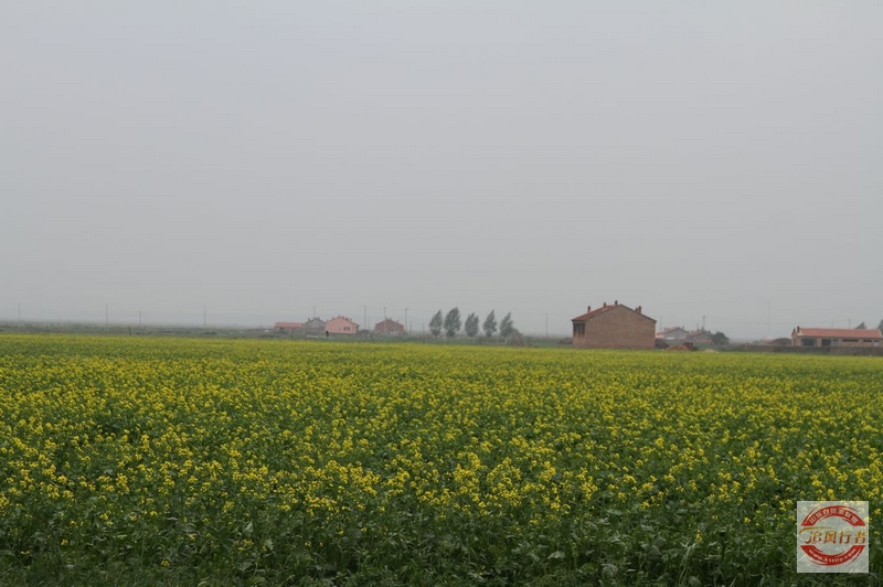 IMG_9887.jpg