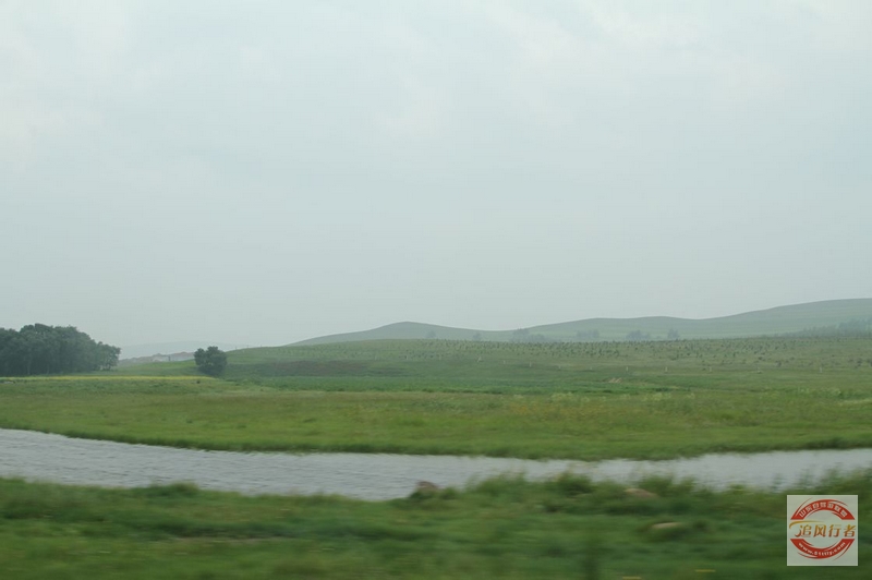 IMG_9915.jpg