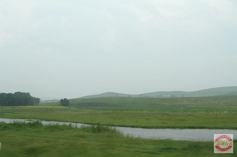 IMG_9916.jpg