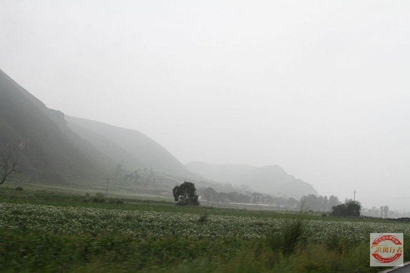 IMG_9926.jpg