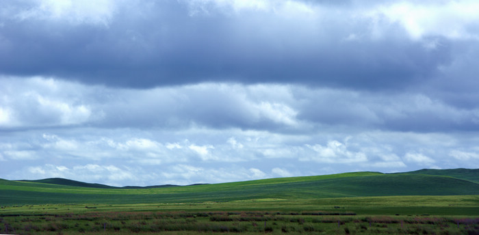 _DSC6975.jpg