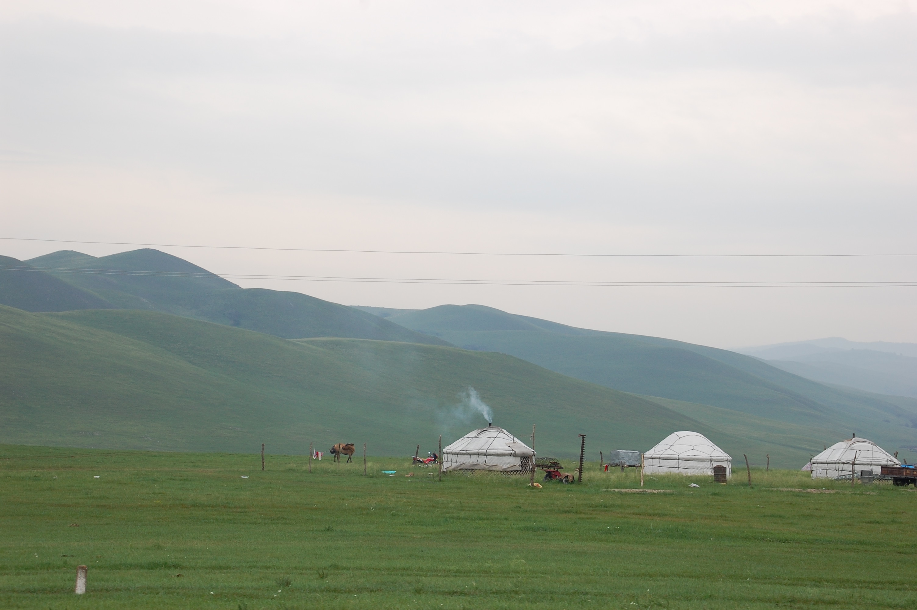 DSC_0737.JPG