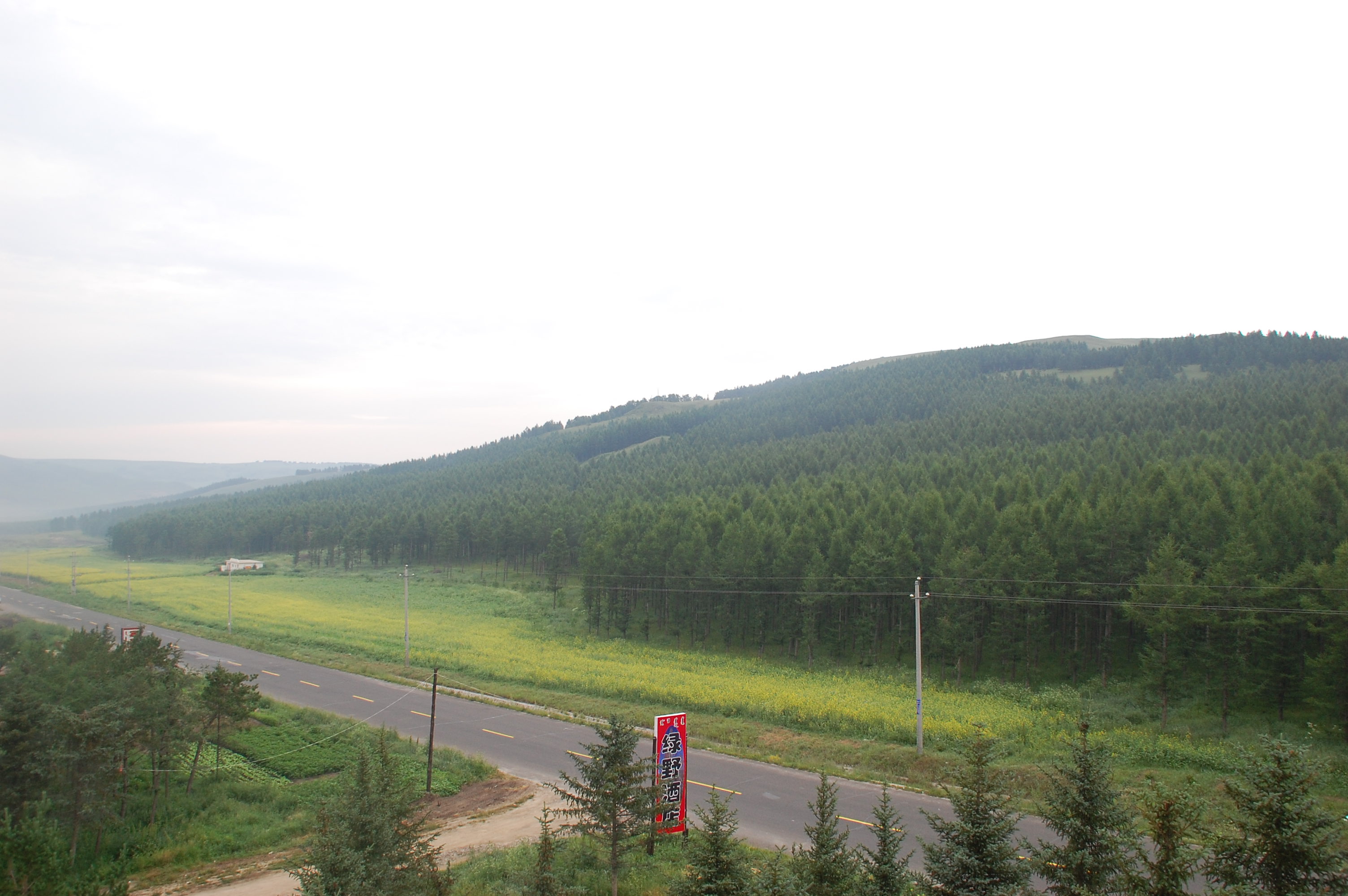 DSC_0657.JPG