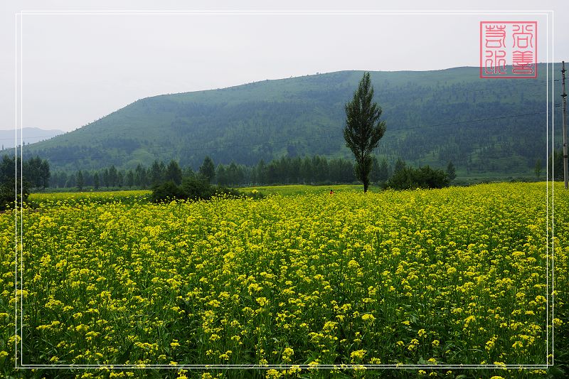 DSC01052.jpg