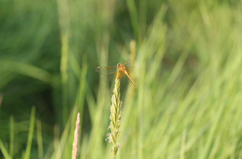 QQͼ20120807003916.png