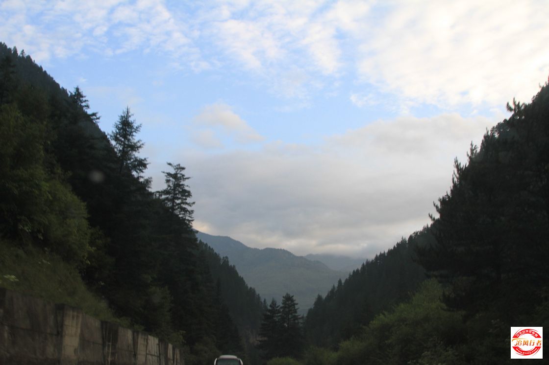 IMG_5635.jpg