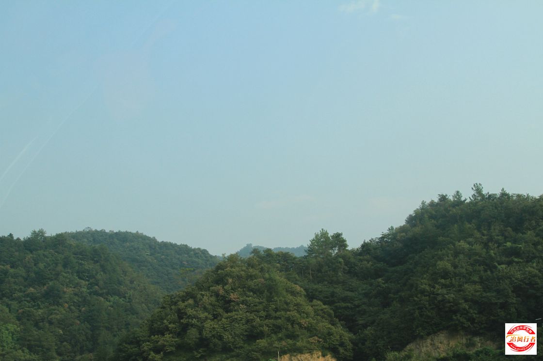 IMG_6338.jpg