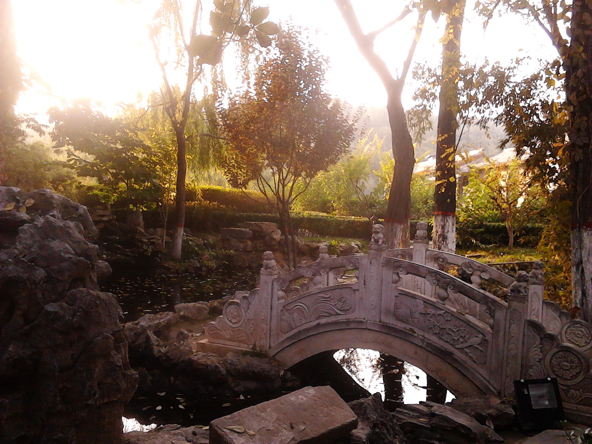 IMG_20121001_170201.jpg