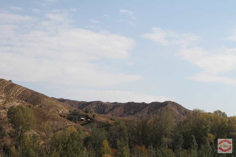 IMG_1727.jpg